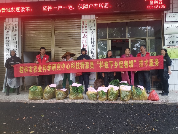 市农科中心乡村科技特派员赴灵川县开展送苗服务