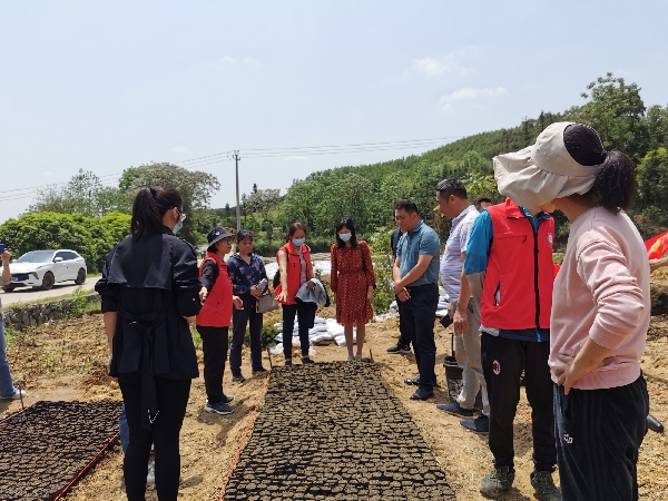 市农科中心科技人员到临桂区临桂镇灵山村进行蔬菜栽培技术培训及现场指导