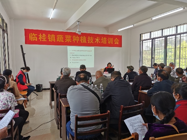 市农科中心科技人员到临桂区临桂镇灵山村进行蔬菜栽培技术培训及现场指导