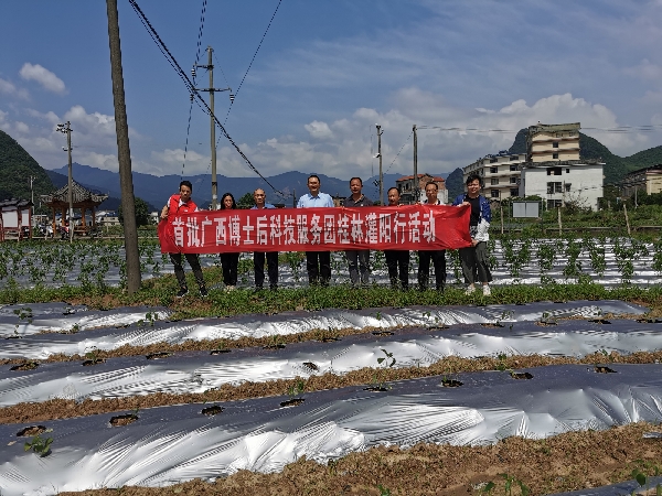市农科中心副主任李玉洪领队随同广西农科院博士王益奎前往灌阳开展科技下乡服务活动