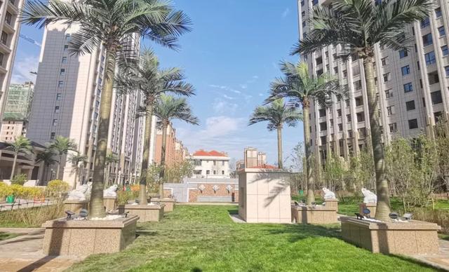 参一参开发商的历史-龙腾集团
