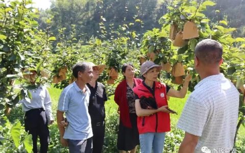 桂林市农业科学研究中心科技特派员到资源县开展科技培训服务活动