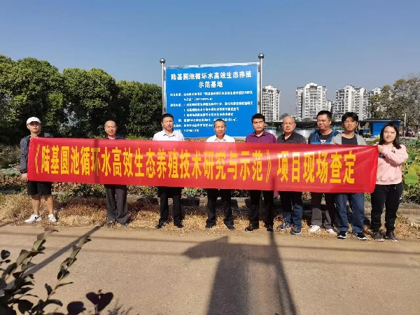 市农科中心承担的“陆基圆池循环水高效生态养殖技术研究与示范”项目通过现场查定