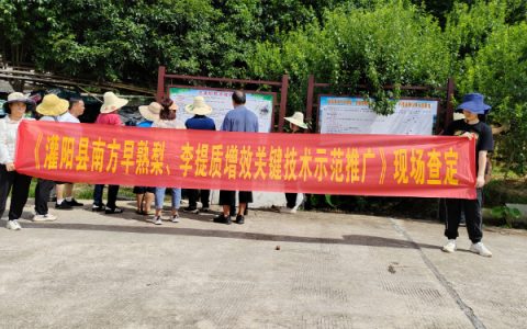 广西科技重点研发计划“灌阳县南方早熟梨、李提质增效关键技术示范推广”项目顺利通过现场查定