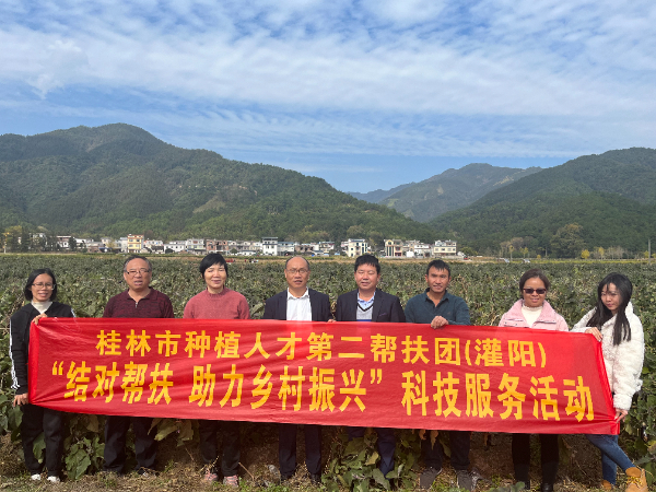 市种植人才第二帮扶团联合广西蔬菜产业创新团队开展冬季蔬菜生产指导