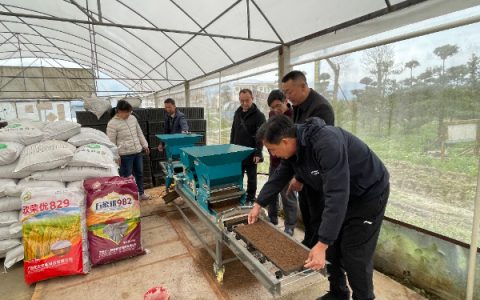 农科中心科技人员赴灌阳县开展春耕生产调研和科技服务活动