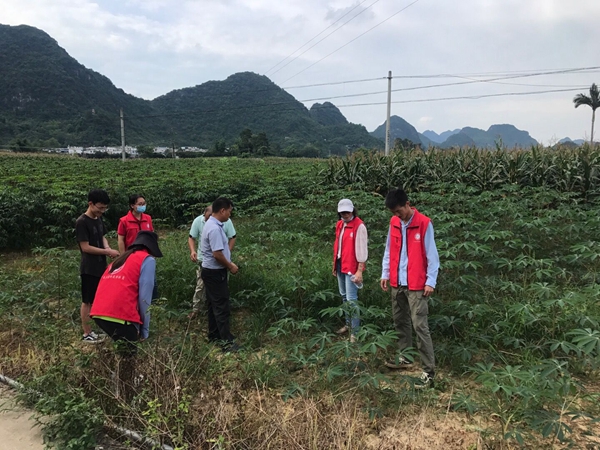 廣西南亞所基地管理黨支部赴天等縣開展“黨建引領 科技下鄉 助推鄉村振興”主題黨建活動