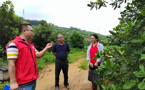 廣西南亞所鄉村科技特派員赴百色參加示范基地掛牌活動并開展病蟲害防治技術指導