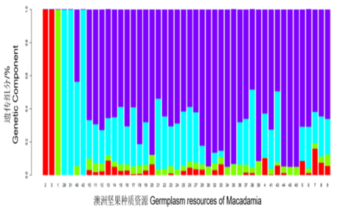攻克澳洲堅果產業關鍵技術，助力“堅果產業”發展成鄉村振興“好產業”—記2021年度廣西科學技術進步獎“澳洲堅果產業關鍵技術創新與應用”