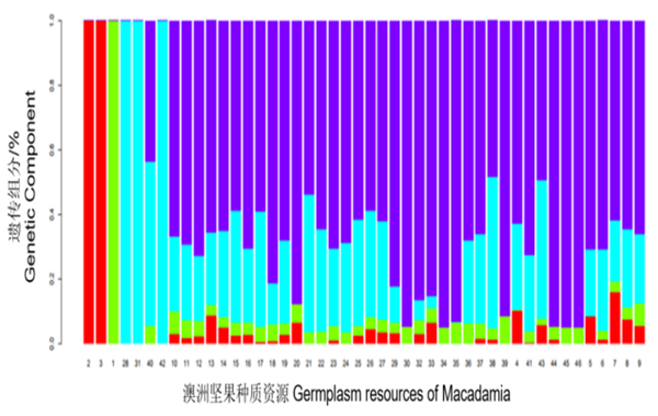 攻克澳洲堅果產業關鍵技術，助力“堅果產業”發展成鄉村振興“好產業”—記2021年度廣西科學技術進步獎“澳洲堅果產業關鍵技術創新與應用”