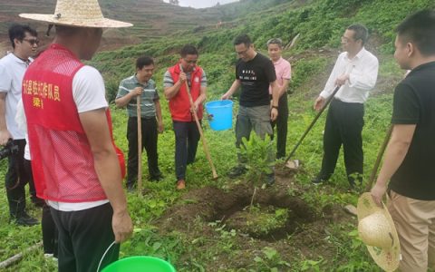 廣西南亞所鄉(xiāng)村科技特派員前往大新縣開展科技服務(wù)