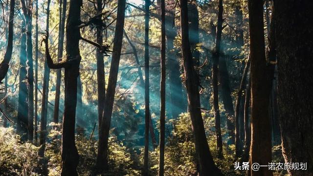 康養：大概念、多功能和泛產業（康養產業的概念）