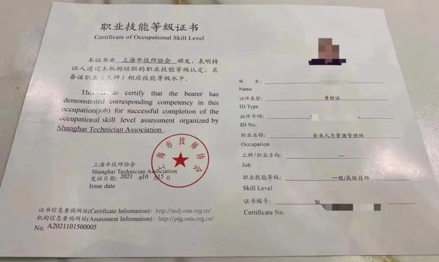 上海職場人內卷圖鑒，讓我看看是誰在偷偷學技能？