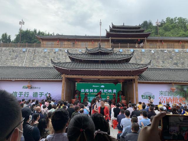 項目工作月報（2020年5月）（五月申報截止日期2020）