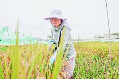 為人才助力，為創(chuàng)新加速！科研經(jīng)費管理改革這十年（科技創(chuàng)新離不開科研經(jīng)費的支撐,在一定程度上）