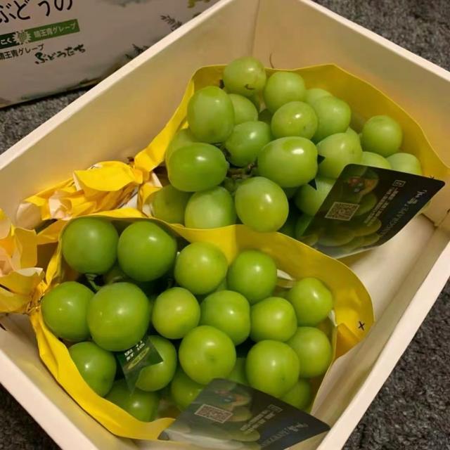 全年葡萄園田間管理項目及管理標準（葡萄的田間管理）