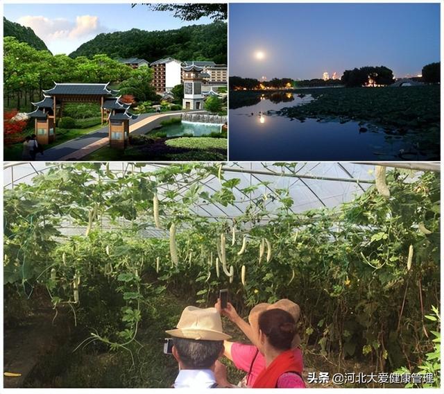 中國的養老方式有哪些？你將來會選擇哪種模式養老？（目前中國的養老模式有哪些）