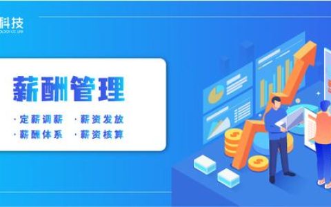 企業(yè)做工資系統(tǒng)用什么軟件好？（工資系統(tǒng)軟件有哪些）