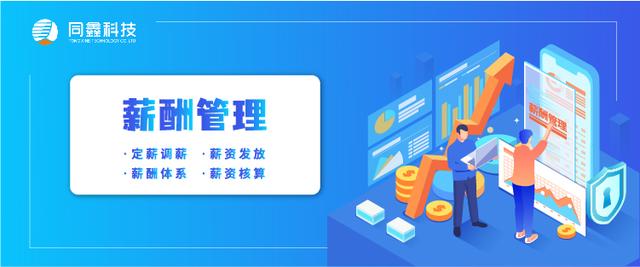 企業做工資系統用什么軟件好？（工資系統軟件有哪些）