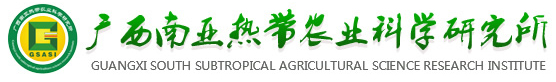 广西南亚热带农业科学研究所