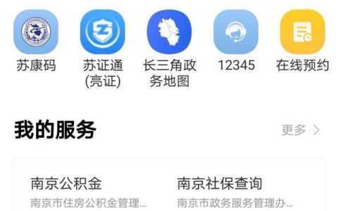 點(diǎn)點(diǎn)手機(jī)把事辦！江蘇發(fā)展“指尖政務(wù)”為民添便利