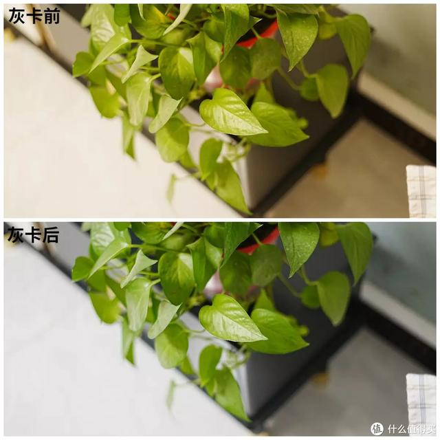 攝影必備神器，還原精準(zhǔn)色彩——德塔48色卡使用體驗(yàn)分享