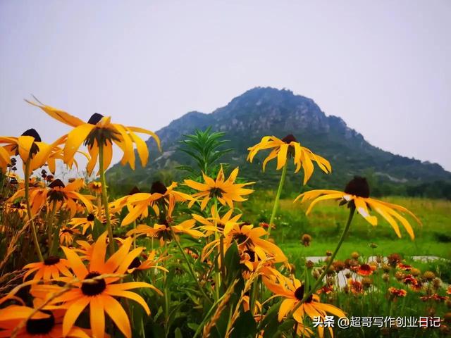 享受政策百萬福利，創業項目申報只需三步（創業項目優惠政策）
