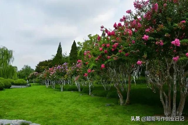 享受政策百萬福利，創業項目申報只需三步（創業項目優惠政策）