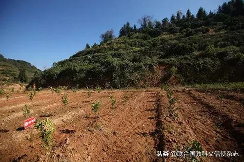 三峽工程的移民都去了哪里？（三峽工程的移民都去了哪里了）