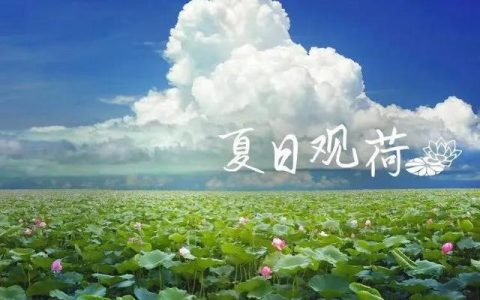 經銷商需要精細化管理（經銷商需要精細化管理嗎）