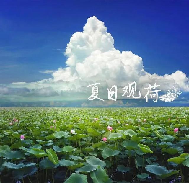 經銷商需要精細化管理（經銷商需要精細化管理嗎）