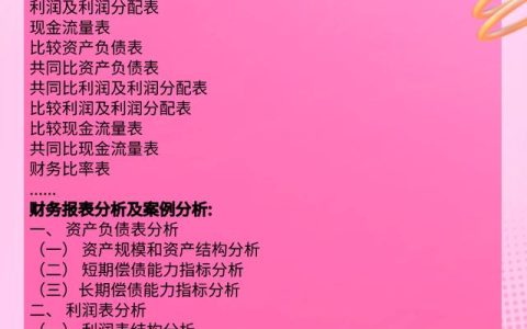財務必備：完整版Excel財務報表分析軟件（含杜邦分析）收藏備用（財務分析以excel為分析工具pdf）