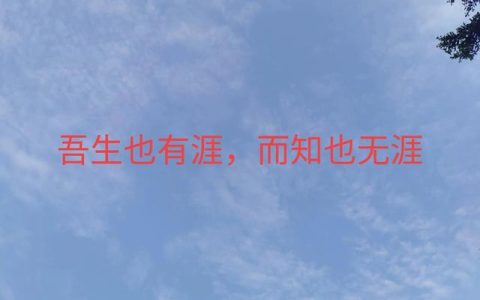 20220731項(xiàng)目管理周貼士