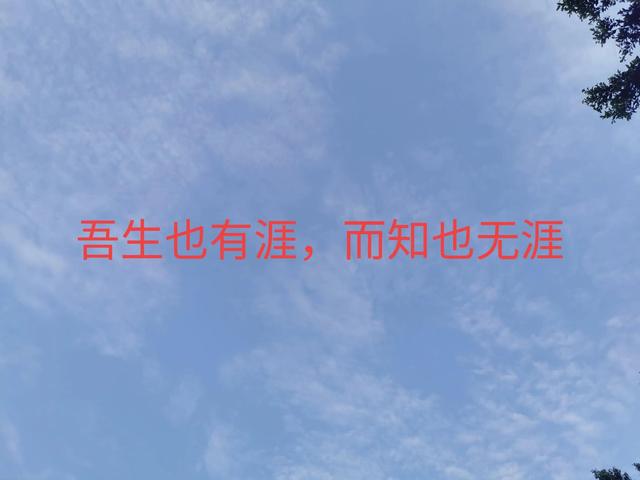 0220731項目管理周貼士"