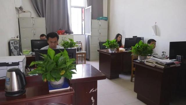 【勤廉安義在行動】財政局：把好“三關” 強化監管