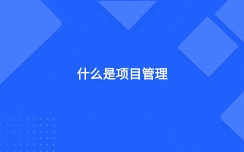 什么是項目管理（PMP項目管理）