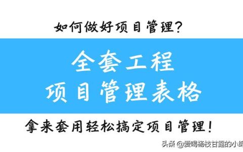 全套工程項目管理表格，共378個模板，拿來套用輕松搞定項目管理（工程項目管理實用手冊）