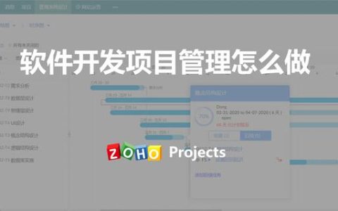 軟件開發項目組的項目管理怎么做（軟件開發項目組的項目管理怎么做的）