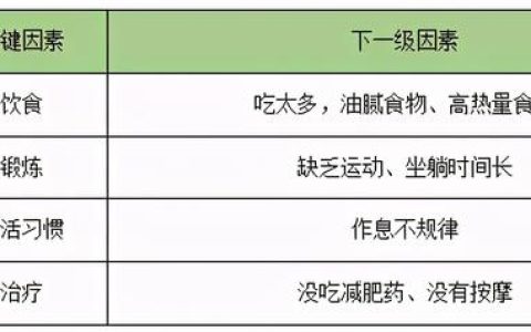 項目管理工具與技術之魚骨圖！「標桿精益」（項目管理 魚骨圖）