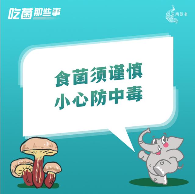 【關注】2023年鄉村振興科技專項申報工作啟動！申報流程→（鄉村振興項目申報內容）