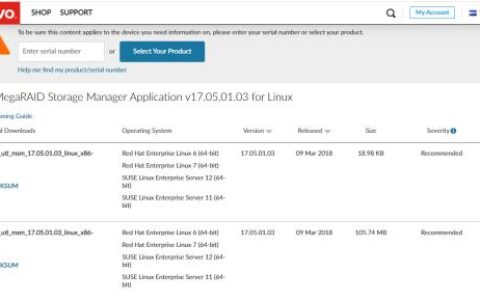 超好用的RAID卡管理工具MSM（Linux篇）（msm管理軟件raid）
