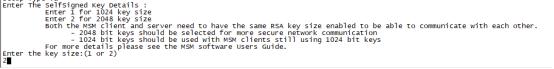 超好用的RAID卡管理工具MSM（Linux篇）（msm管理軟件raid）