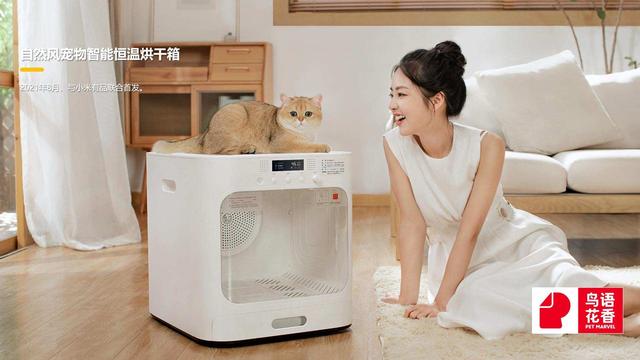 6氪首發