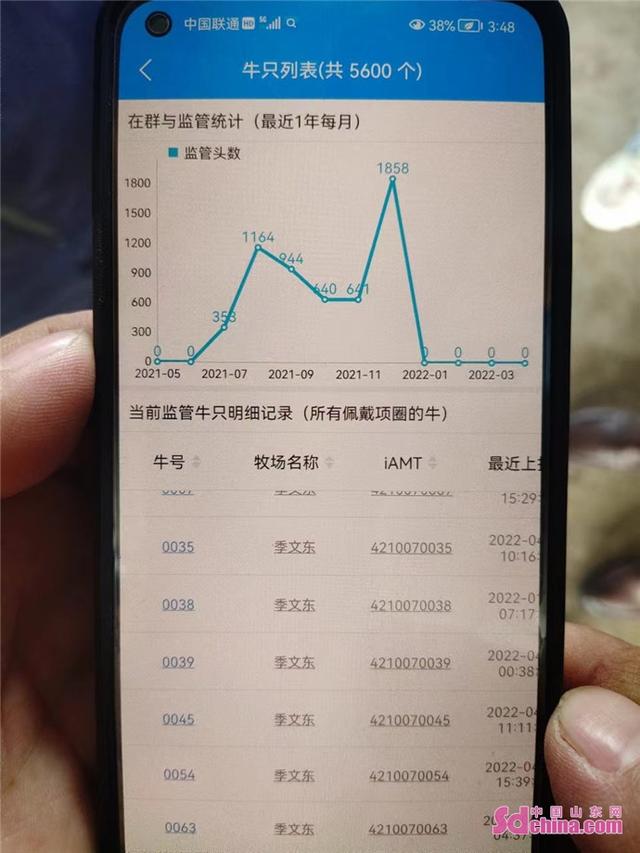 菏澤曹縣：“數字”賦能畜牧業高質量發展（山東省菏澤市曹縣養牛場）