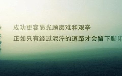 房地產項目管理的常見問題以及解決思路（房地產項目管理的常見問題以及解決思路論文）