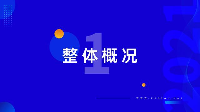 禪道：2021年IT行業(yè)項目管理調(diào)查報告，完整版53頁