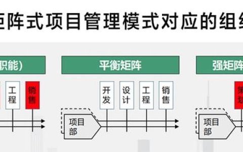 蒙田智慧-矩陣式項目管理模式分析
