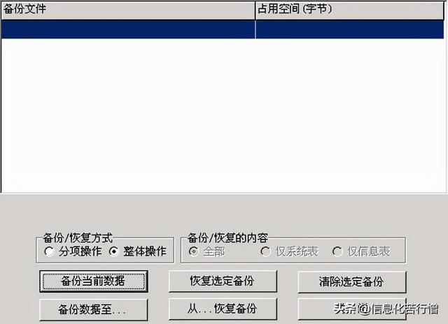 車輛信息化管理系統專業版軟件開發設計解決方案（車輛信息化管理系統專業版軟件開發設計解決方案有哪些）